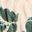 Ecru / Vert